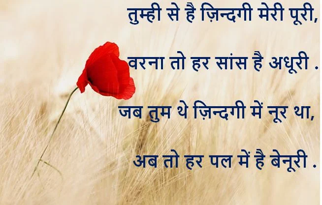 life shayari, life shayari download, life shayari collection