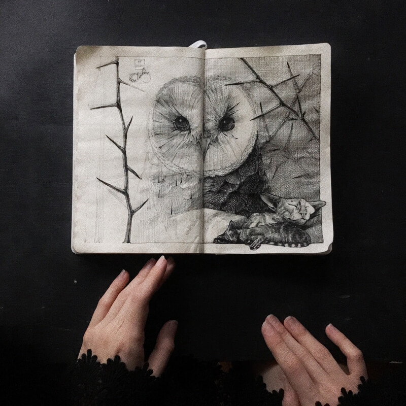 09-barn-owl-thorns-surreal-drawings-elena-lemkina-www-designstack-co