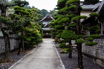 IMG_0359_thumb2