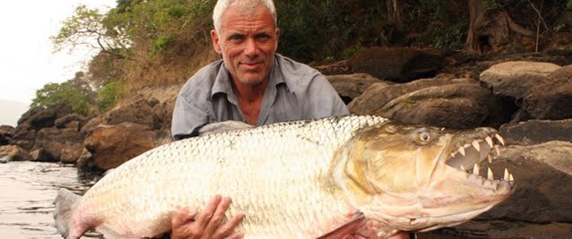 goliath tiger fish river monsters. GOLIATH TIGERFISH