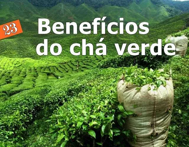 23 benefícios do chá verde para sua saúde, perda de peso e pele