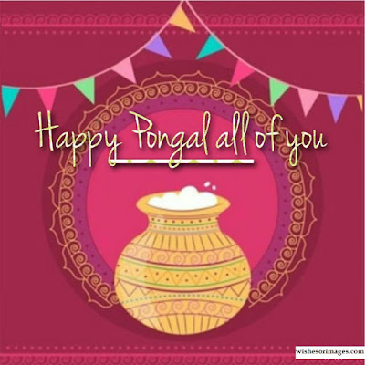 Happy Pongal Image 2020