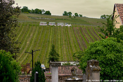 riquewihr, liten fransk by, stad, idyllisk, idyll, small french village, stad, idyllic, medeltidsby, medeltidsstad, stadsmur, borg, medieval town, medieval village, city wall, disneyland look-a-like, alsace, elsass, ribeauville, kyrkogård, cemetary, fransk landsbygdskyrkogård, vinodling, tåg, train