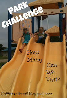 Park Slide Challenge