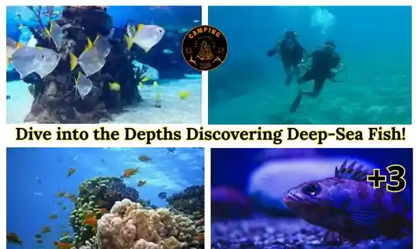 Dive into the Depths Discovering Deep-Sea Fish!