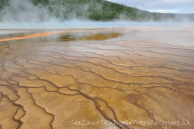 黃石國家公園, yellowstone national park, Midway Geyser Basin, Grand Prismatic Spring, 大稜鏡溫泉