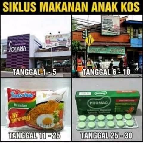 Siklus Makanan Anak Kos