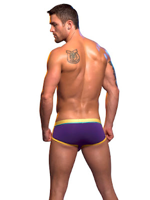 Andrew Christian RetroPop Reveal Boxer Underwear Back Purple Cool4guys
