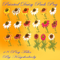 Painted daisy pack PNG tubes