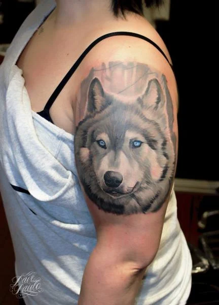 Foto de un perro lobo en el brazo de una mujer