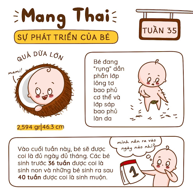 Kiến thức mang thai tuần 35