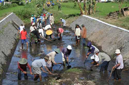 INTERAKSI SOSIAL  NatureTect