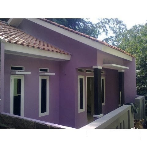 Contoh Cat  Luar Warna  Hijau Rumah  Minimalis 