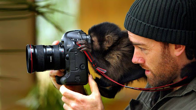 Animals That Want To Be a Photographers