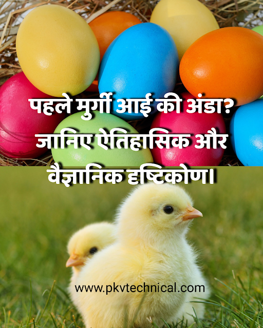 पहले मुर्गी आई थी की अंडा? Did the chicken come first or the egg? Know the interesting things of science and history.