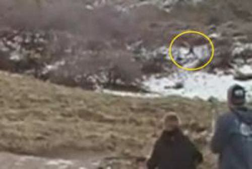 Fortean Alternative News Is This A Bigfoot Southeast Texas Ufoalien Investigation Proceeds