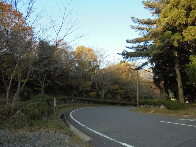 ビラ大山の入り口