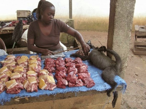 Daawo:- Daanyeerka oo macmacaansi looga cuno Sierra Leone