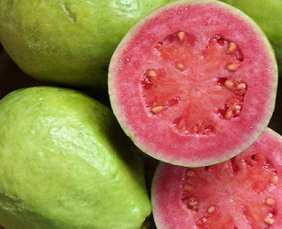 Natural Medicinal Plant Guava