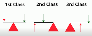1st 2nd 3rd class lever