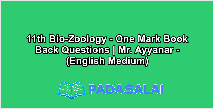 11th Bio-Zoology - One Mark Book Back Questions | Mr. Ayyanar - (English Medium)