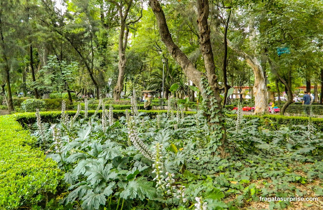 Parque México, bairro de La Condesa, Cidade do México