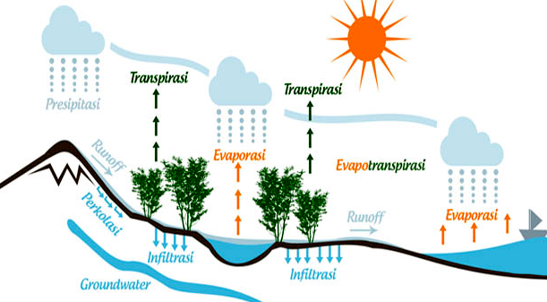 Siklus Hidrologi Pengertian Proses Terjadinya dan Macam Terbaru