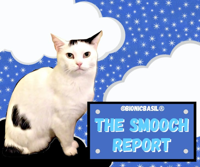 The Smooch Report Banner  ©BionicBasil®.jpg