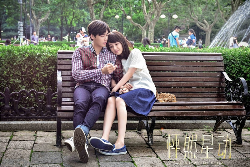 Fall In Love Like A Star China Movie