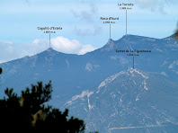 Aproximació als cims del Cogulló d'Estela, Roca d'Auró, la Torreta i el Serrat de la Figuerassa dels Rasos de Peguera