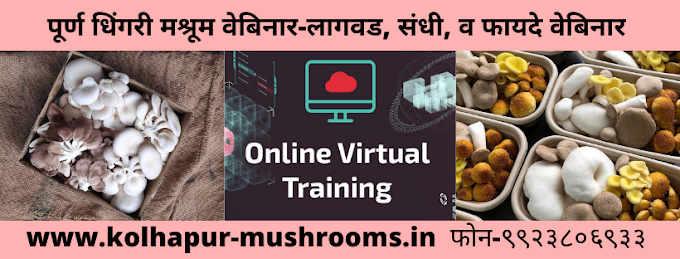 पूर्ण धिंगरी मश्रूम वेबिनार-लागवड, संधी, व फायदे मराठी वेबिनार| Mushroom Webinar