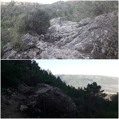 LA COGULLA - EL TOSSAL GROS Figuerola del Camp -(Alt Camp) -  Montblanc - (Conca de Barberà); sender GR-7.8 entre Lilla i Miramar