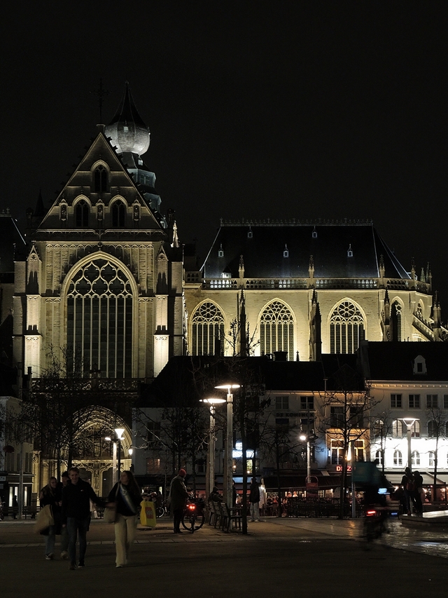 Antwerpen: de prachtige Nottebohmzaal en de (tuin van) de kathedraal