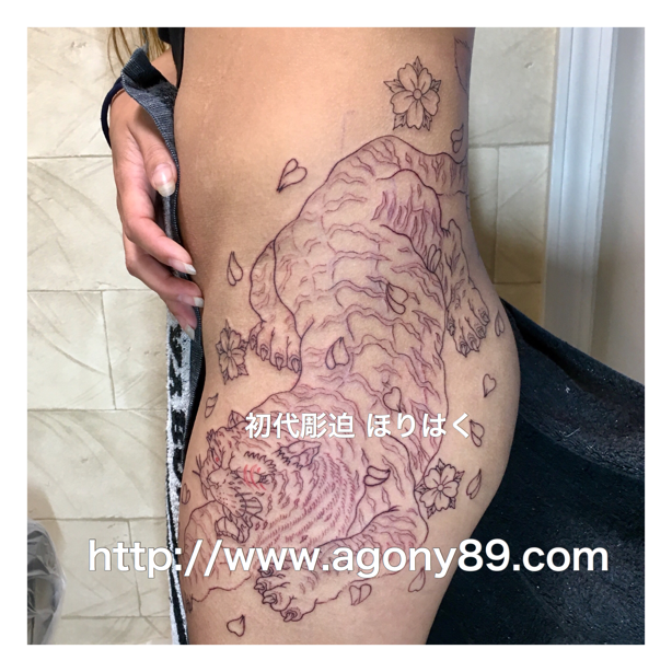 刺青 和彫り 虎、刺青、白虎 刺青画像、刺青デザイン、和彫り、抜き彫り、化粧彫り、桜、烏彫り、筋彫り、虎の刺青画像。刺青、花、桜、虎、タトゥー デザイン、白虎、タトゥー、トラ、タトゥー画像、とら、女性、ほりはく日記、初代 彫迫 刺青 ほりはく。tiger tattoo.tattoo. girl.irezumi.design.gazou.