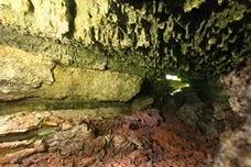 IMG_5751