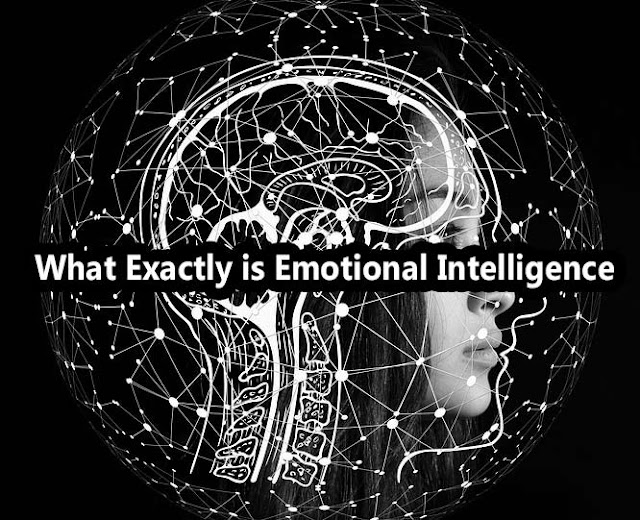 What Exactly is Emotional Intelligence