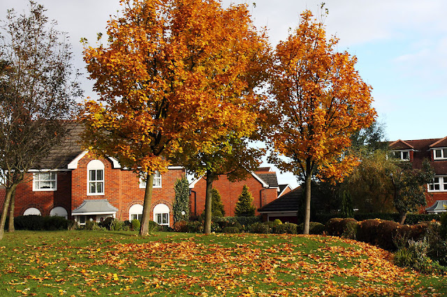 house in autumn