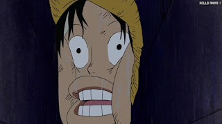 ワンピース アニメ ウォーターセブン編 254話 ルフィ Monkey D. Luffy | ONE PIECE Episode 254 Water 7