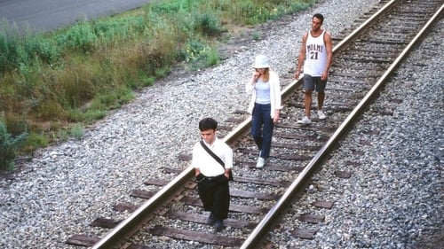 The Station Agent (Vías cruzadas) 2003 descargar gratis castellano