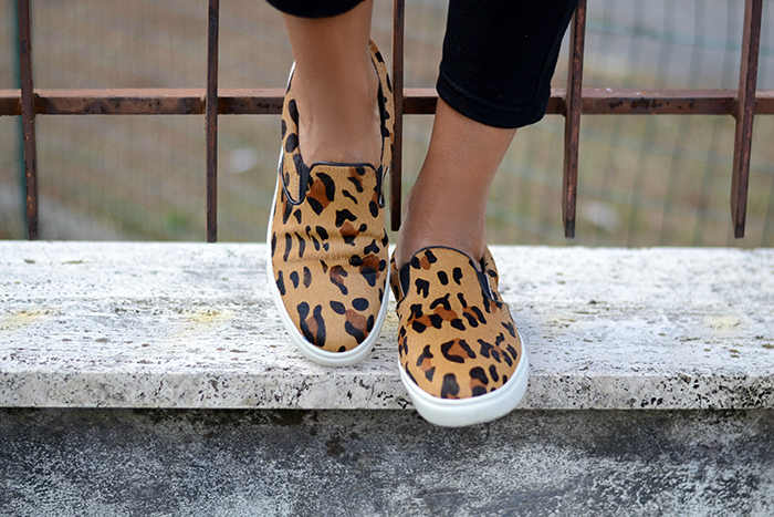 leopard print loafers steve madden