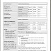 Chartered Accountant Resume in Doc