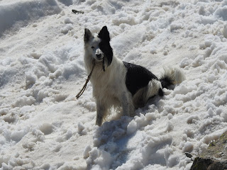 Valtournenche Rifugio Perucca Vuillermoz