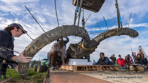 Dikira Tiang Bengkok Ternyata Gading Mammoth