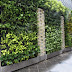 Design the house with green walls