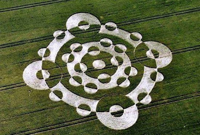 crop circle pictures