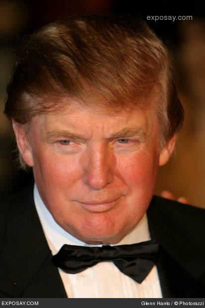 donald trump hair. donald trump hair cut.