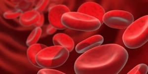 Anemija: Nedostatak krvi u organizmu