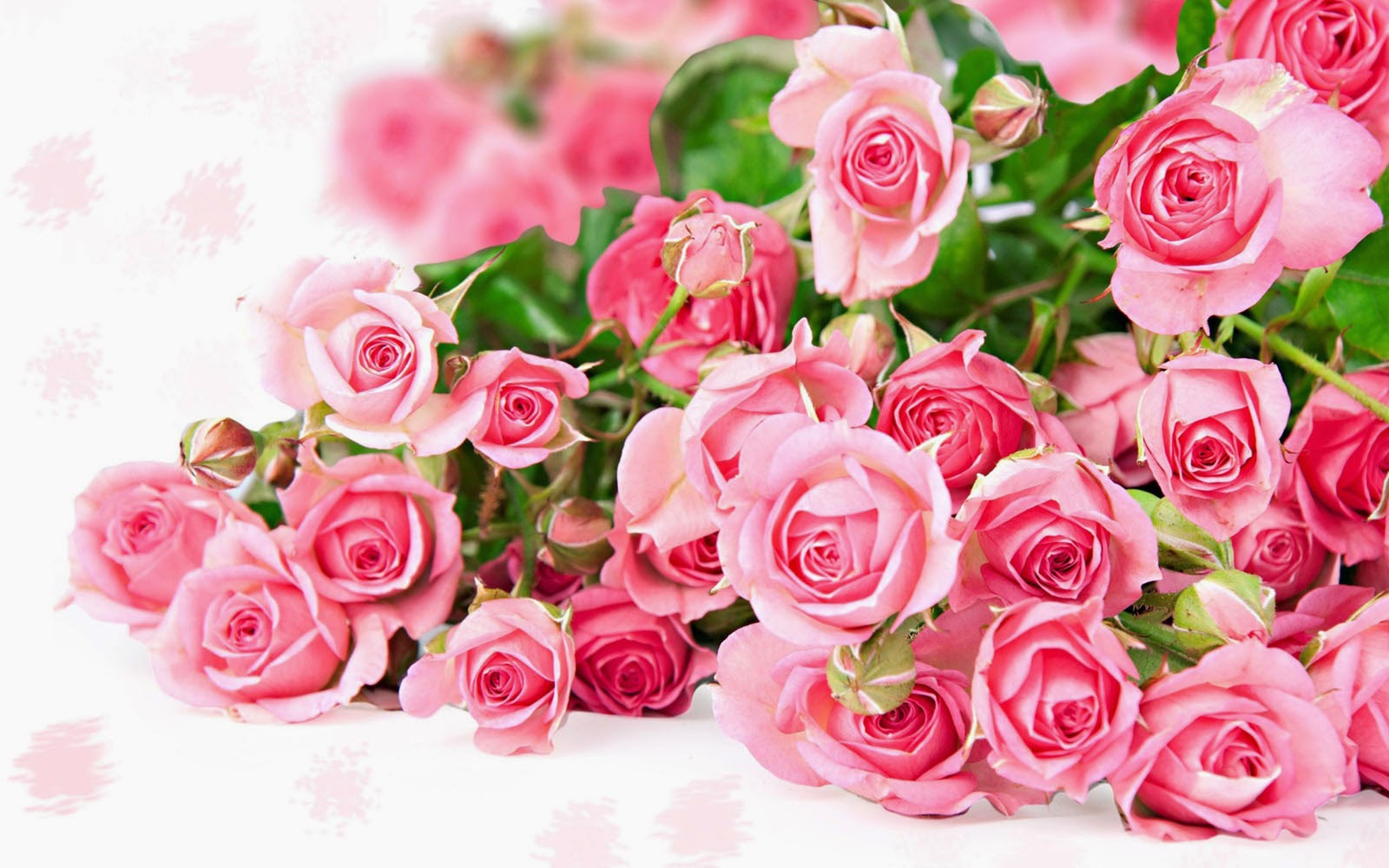 Pink+Rose+Bouquet+Wallpapers+(8)