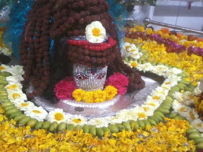 LORD SHIVLINGA (RUDRAKSHA) : SHIVLINGA FULL OF RUDRAKSHA : LORD - SHIVLINGA FULL OF RUDRAKSHA MALA: Lord Shivling Made Up of Rudraksha: Lord Shiva Made Up Of Sudraksha: Lord Shiva and Rudraksha