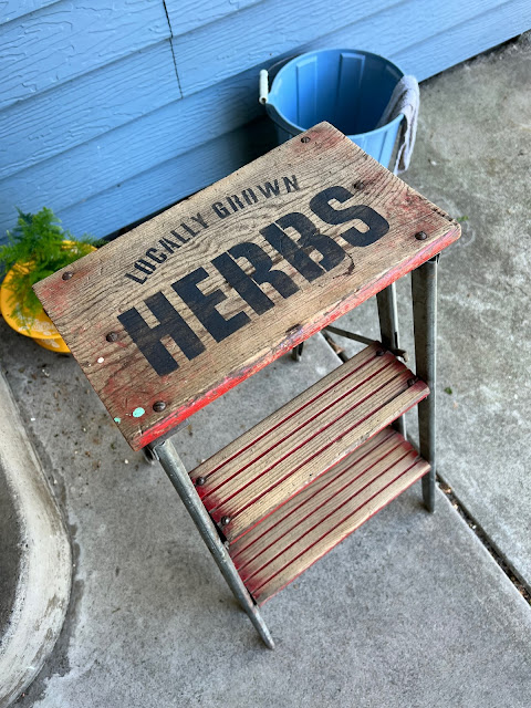 Photo of Locally Grown Herbs stencil on the top rung of a stepladder.